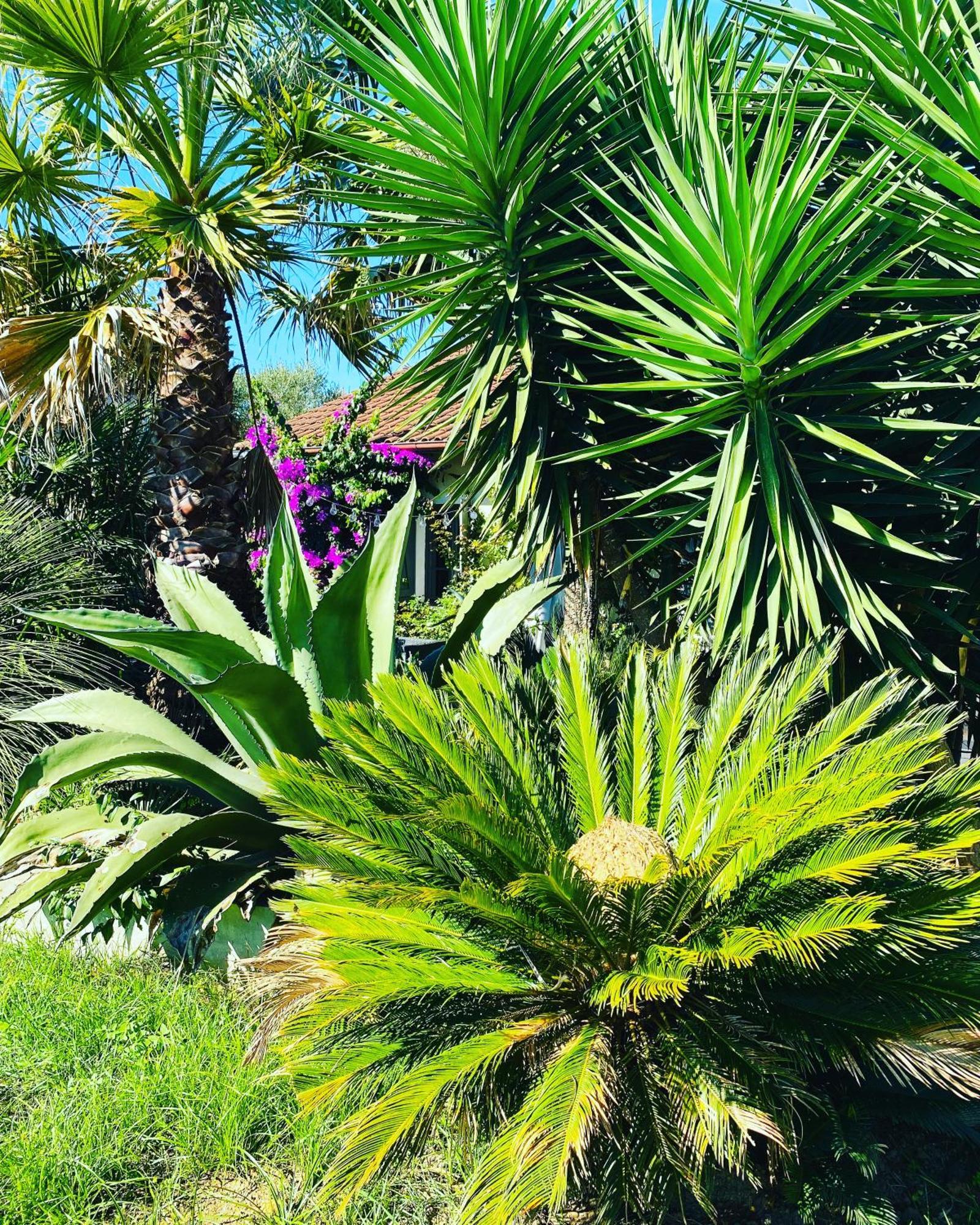 Appartement La Bastide De Guiche Entre Ocean Et Montagnes Extérieur photo